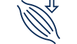 Vector Smart Object Copy 30