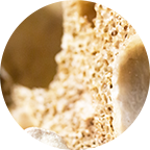 Densita Ossea